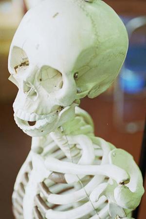 守山で信頼できる耳鼻科を探すための完全ガイド：症状別診療内容とクリニックの特徴