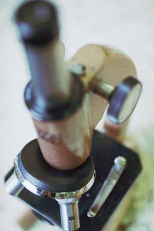 奈良市の歯医者選びのポイントと最新治療法について