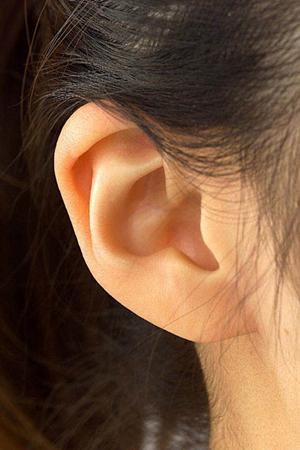 2025年最新版：西宮で信頼できる内視鏡検査の選び方とおすすめクリニック