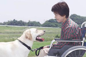 小山市でインプラントを希望するなら