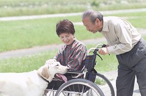 小児歯科なら秦野市にある歯科医院が最適