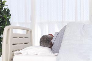 2025年最新！新宿区で信頼できる精神科クリニックの選び方とおすすめポイント