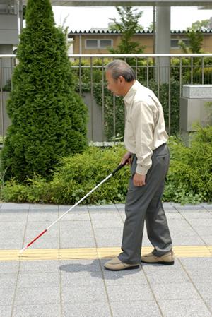 札幌市の内科専門医が教える！信頼と安心の内科診療ガイド2026