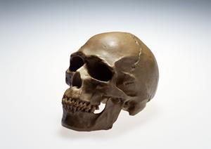 わきが治療なら日本橋の整形外科へ