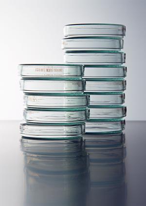 藤沢市近隣からのアクセスが抜群の歯医者