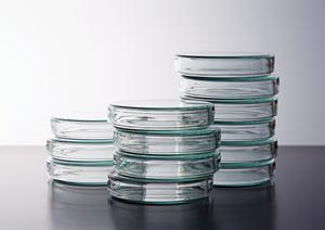 2025年最新！京成大久保で信頼できる歯医者を選ぶための完全ガイド