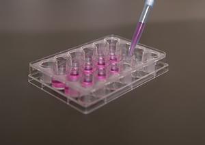 研修制度の整った介護求人を熊本で探すなら